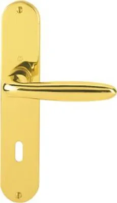A brass door handle set on a white background.