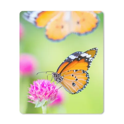 Produktbild von MuchoWow® Mauspad Mousepad Insekten - Schmetterlinge - Blumen 19x23 cm - Mousepads - Maus Mat - Pad - Mausunterlage - Mauspads - Spielen