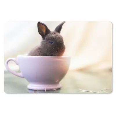 Produktbild von MuchoWow® Schreibtischunterlage Kaninchen - Baby - Teetasse 60x40 cm - XXL Mauspad - Großes Mauspad