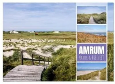Produktbild von Amrum: Natur und Freiheit (Wandkalender 2026 DIN A3 quer), CALVENDO Monatskalender