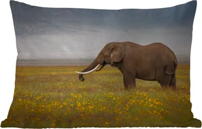 Produktbild von MuchoWow® Outdoor Kissen - Elefant - Tiere - Blumen - Gras - Natur - 60x40 cm - Wetterfest - Lounge Kissen - Zierkissen - Kissen für Innenräume