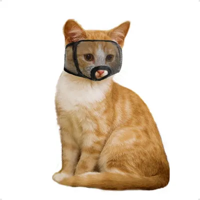 Immagine prodotto di Museruola per gatti, rete, taglia M, colore nero