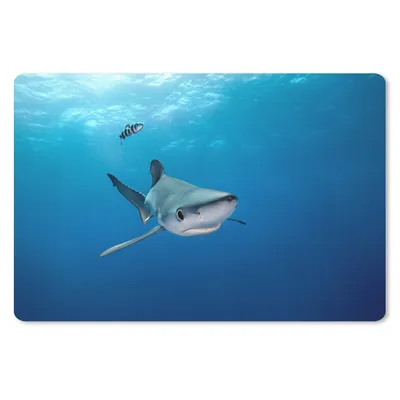 Produktbild von MuchoWow® Schreibtischunterlage Großer Blauer Hai 60x40 cm - XXL Mauspad - Großes Mauspad