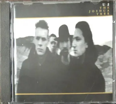 Produktbild von Der Josuabaum