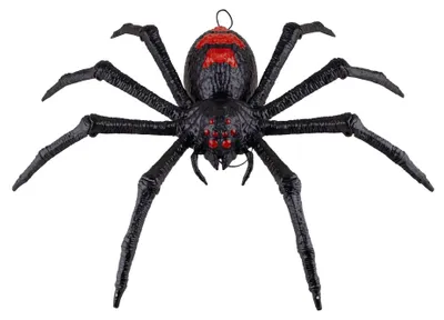 Produktbild von Animierte Tarantel Deko mit Beinbewegungen 70 x 15 x 42 cm -