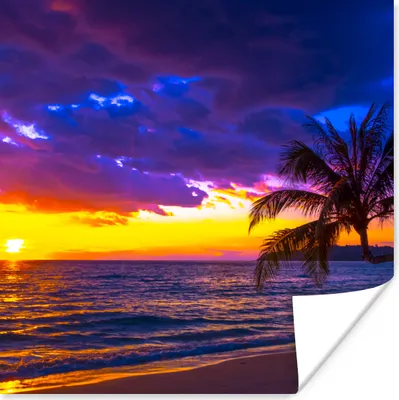 Produktbild von MuchoWow® Poster Palme - Lila - Sonnenuntergang - Strand - Meer 30x30 cm - Wandposter - Printing