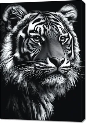 Produktbild von Bild 70x100cm Tierporträt für das Wohnzimmer | Tiger 2 | Schwarz Weiß