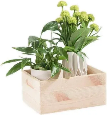 Produktbild von Holzkiste 33X25X15,5 508400