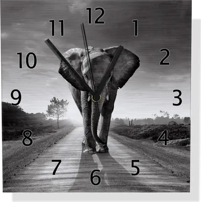 Produktbild von Wallario Design Wanduhr Elefant bei Sonnenaufgang in Afrika schwarzweiß aus Aluverbund, Größe 30 x 30 cm