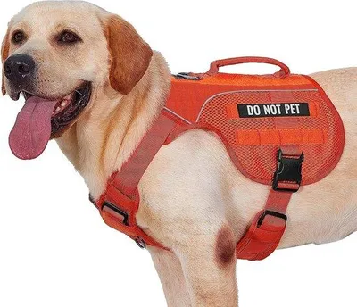 Produktbild von Orange Hundegeschirr Größe L