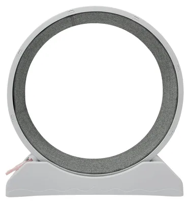 Image de Roue d'exercice pour chats avec tapis et tapis roulant silencieux