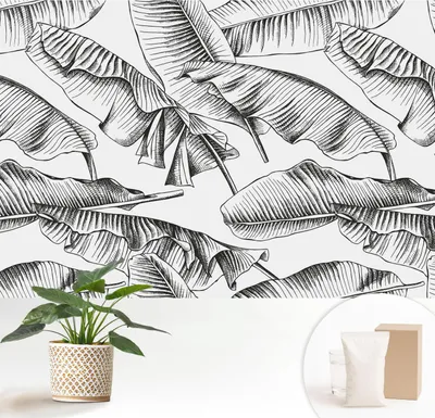 Zdjęcie produktu dla Fototapeta samoprzylepna – 152 x 104 cm – tapeta – tapeta ścienna – obrazy ścienne – folia samoprzylepna – folia dekoracyjna – tapeta foliowa – ściana – dekoracja – salon – liście bananowca