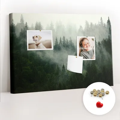 Obrázek produktu pro Korková nástěnka s kolíčky - Tabule s kolíky pro fotografie a poznámky - 60x40 cm - Připínáčky kovové 100 kusů -
