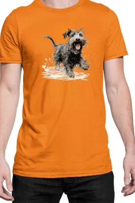 Immagine prodotto di Maglietta da uomo Funny Dogs Breeds Terrier Dog Breed, Man 2XL , Orange