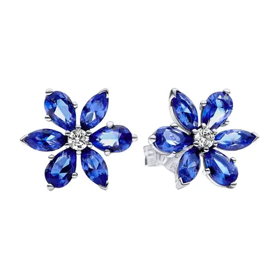 Zdjęcie produktu dla Kolczyki Pandora Sparkling Blue Herbarium Cluster 292407C01 Kolczyki