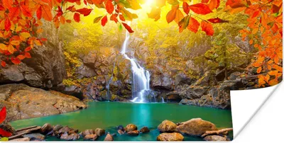 Produktbild von MuchoWow® Poster Steine - Baum - Wasserfall - Herbst - Rot 150x75 cm - ohne Rahmen
