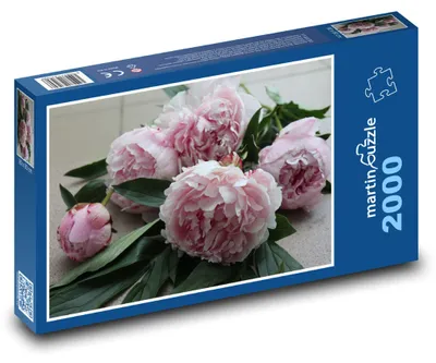 Obrázok produktu pre Puzzle 2000 Ružové pivonky v kvete - martinpuzzle