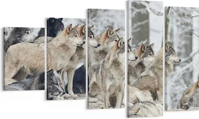 Produktbild von Bild auf Leinwand - Leinwandbild - 5 Teile - Rudel Wölfe Winter - 100x60cm - Wand Bild - Wanddeko - Wandbilder - Leinwanddruck - Bilder - Wanddekoration - Leinwand bilder - Wandbild - EG100x60-4357