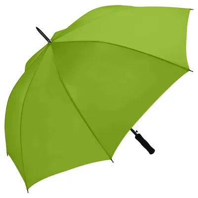 Image de Fare - Parapluie LT6249 (taille unique) (citron vert)