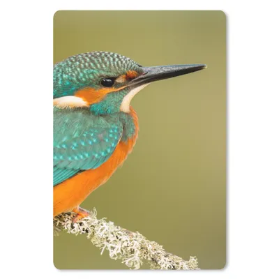 Produktbild von MuchoWow® Mauspad Mousepad Eisvogel - Tiere - Vogel 18x27 cm - Mousepads - Maus Mat - Pad - Mausunterlage