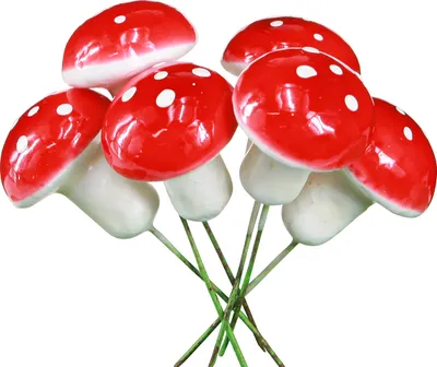 Produktbild von Deko Fliegenpilze zum Stecken am Draht Ø2,5cm - Glücksbringer für Sylvester & Herbstdekoration, 36 Stk, 36 Stück
