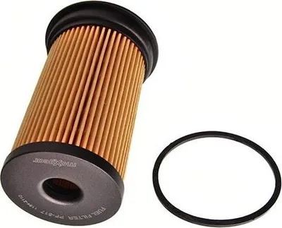 Zdjęcie produktu dla Filtr Paliwa Bmw M47D 318/320D
