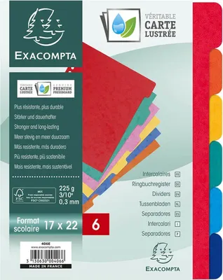 Produktbild von EXACOMPTA Karton-Register 220 x 170 mm 6-teilig