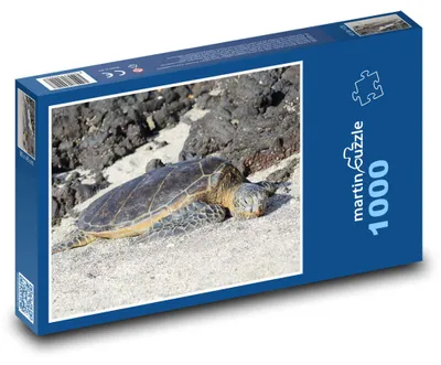 Obrázok produktu pre Puzzle 1000 Morská korytnačka na pláži - martinpuzzle