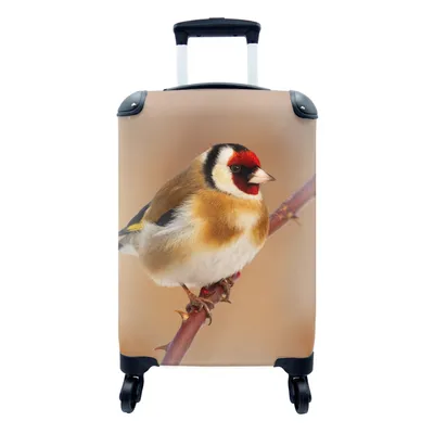 Produktbild von MuchoWow® Koffer Handgepäck Trolley Rollkoffer Kleine Reisekoffer mit 4 Rollen - Kropftaube - Vogel - Tiere - Cabin Size < 55x40x23 cm & 55x40x20 cm - Fotokoffer - Kabinenkoffer - Boardgepäck - Reise-Box - Reisekoffer - Reisegepäck - Koffer mit Bild - Trolley für Kinder
