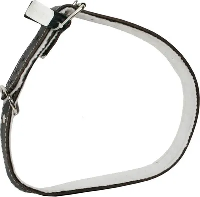Immagine prodotto di Collare Grande Max - Collare Grande Max