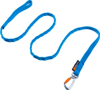 Produktbild von Non-stop dogwear Hundeleine Bungee Leash türkis, Länge: 2 m