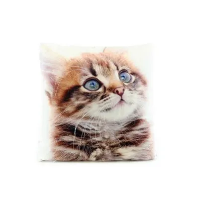 Produktbild von Kissen 33 x 33 cm Kätzchen