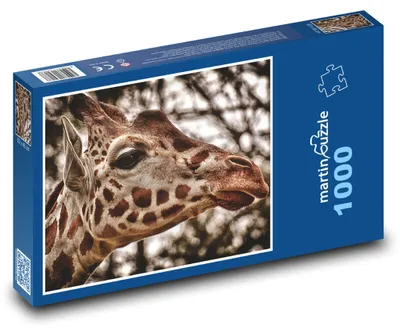 Zdjęcie produktu dla Puzzle 1000 Żyrafa w afrykańskim zoo - martinpuzzle