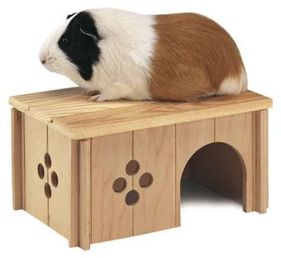 Obrázok produktu pre Ferplast Drevený Domček Bez Pre Nagette 26X17,3X13Cm