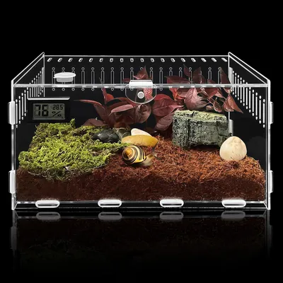Immagine prodotto di Terrario di 30 x 20 x 15 cm, in acrilico trasparente, per insetti