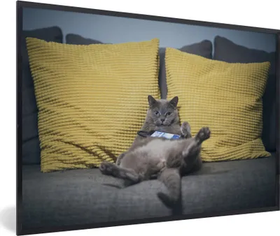 Produktbild von MuchoWow® MuchoWow® Gerahmtes Poster Katze - Bank - Faule 60x40 cm - Poster mit zchwarzem Bilderrahmen - Printing - Wanddeko Schlafzimmer