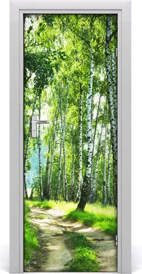 Produktbild von Tulup Türaufkleber 75x205 cm Dekorative Aufkleber Selbstklebend Wasserdichte Tapete Abnehmbar Schlafzimmer Wohnzimmer Wohnkultur - Birkenwald