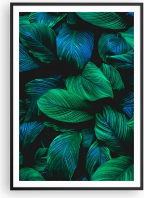 Produktbild von Gerahmtes Poster - Schwarzer Rahmen - Blätter Pflanzen Exotik - 70x100 cm - Wand Bild - Wanddeko - Wandbilder - Kunstposter - Wandposter - Bilderrahmen - Bilder - Kunstdruck - P2BPA70x100-5066
