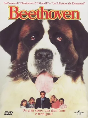 Imagen del producto de MegaMovies - Ein Hund namens Beethoven