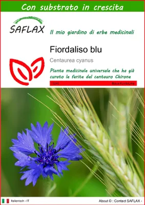 Immagine prodotto di SAFLAX  - Fiordaliso blu - 27000 semi - Con substrato - Centaurea