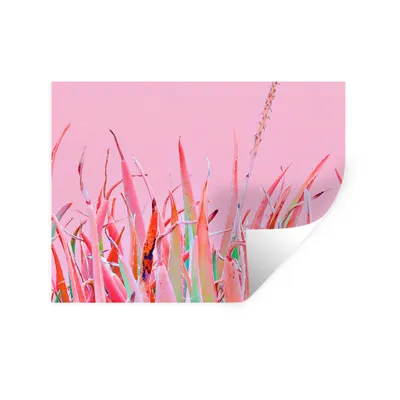 Produktbild von MuchoWow® Wandtattoo Wandsticker Wandaufkleber Sommer - Pflanzen - Pastell 80x60 cm Selbstklebend und Repositionierbar - Faltenfrei