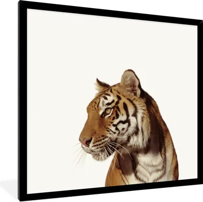Produktbild von MuchoWow® Gerahmtes Poster Tiger - Tier - Porträt 40x40 cm - Poster mit Schwarzem Bilderrahmen Wandposter Rahmen Foto Bilder - Mit Rahmen - Wanddekoration Schlafzimmer