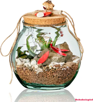 Produktbild von Volcano Flower Gläserner Garten (Flaschengarten) - Komplett Set - Höhe 17 cm