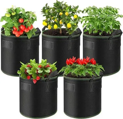 Immagine prodotto di Set di sacchetti per pomodori in pile con manici