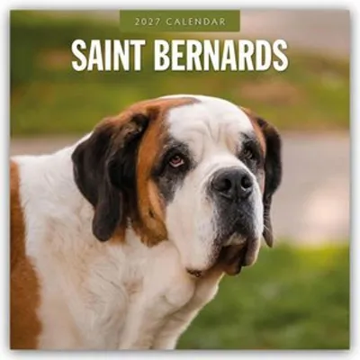 Imagen del producto de San Bernardo - Calendario de 16 meses (2027)