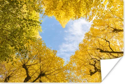 Produktbild von MuchoWow® Poster Bäume - Herz - Gelb - Himmel 180x120 cm - Fotoplakat