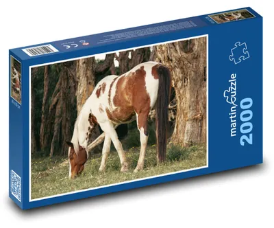 Obrázok produktu pre martinpuzzle - Puzzle 2000 - Kôn - zviera