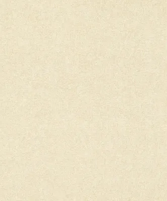 Produktbild von Rasch Composition | 554441 | Vliestapete Einfarbig | 0.53 m x 10.05 m | Beige