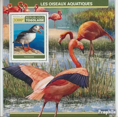 Produktbild von Briefmarken Togo 2017 Mi Block 1450 (kompl. Ausgabe) postfrisch Wasservögel