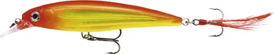 Produktbild von Rapala XR10, 13 g, 10 cm, 1,2 m, 1,8 m